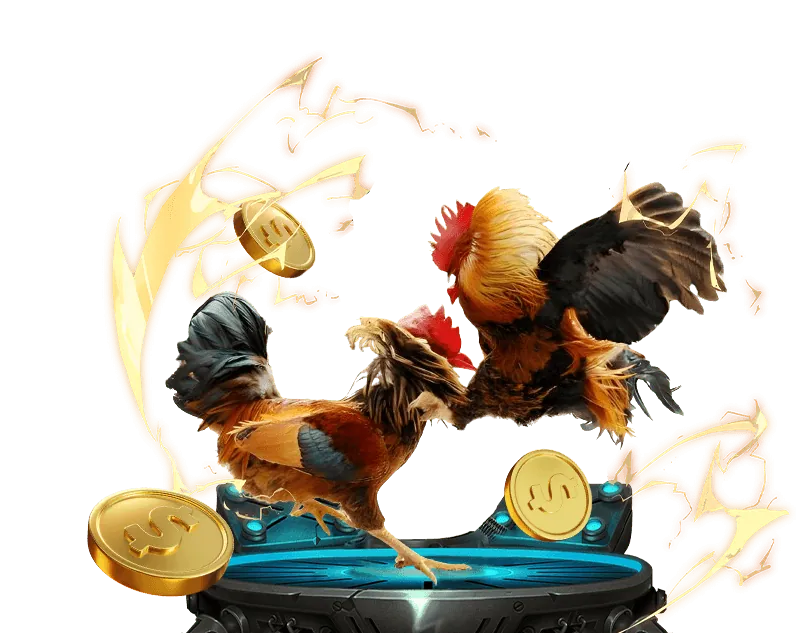 Hỗ trợ khách hàng S666 và FAQ